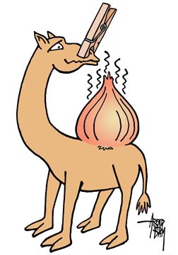 PERL(camel&onion)