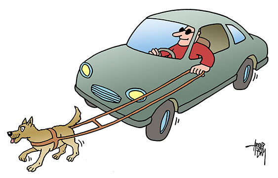 CarNavigationBlindTrust