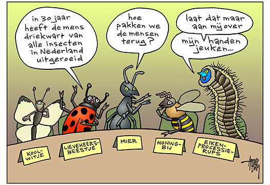 InsectenSterfteEikenProcessieRups