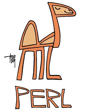 PERLperl camel