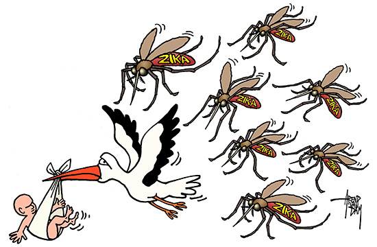 PregnancyZIKA mosquitos